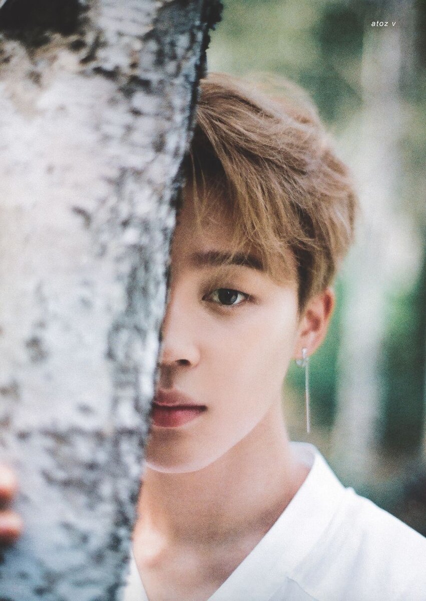 Свободная лицензия