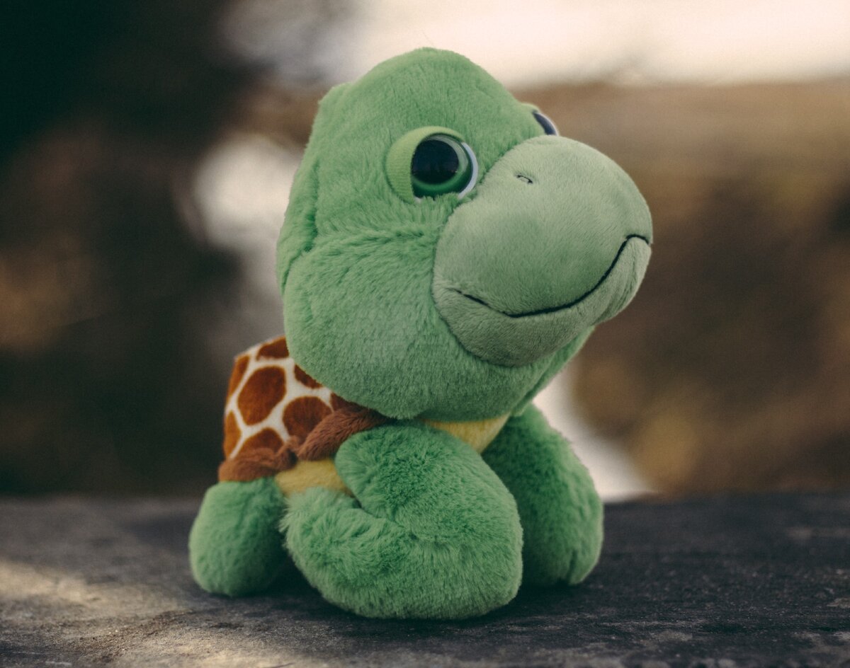 Источник: Unsplash