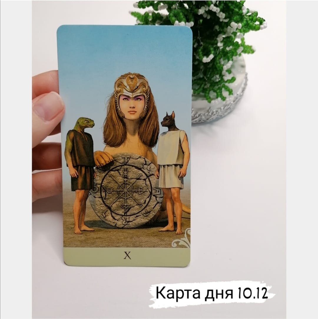 карта дня