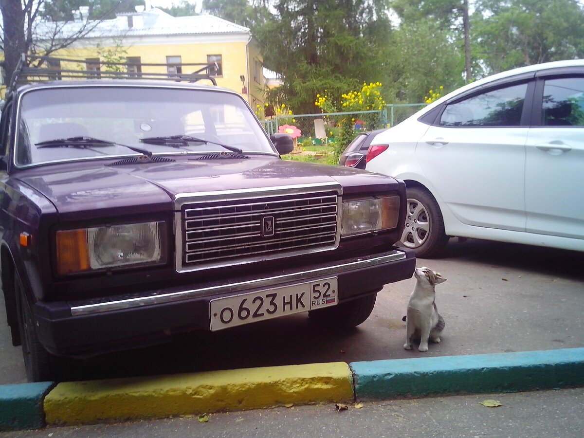 Девочки любят вишневые автомобильчики!