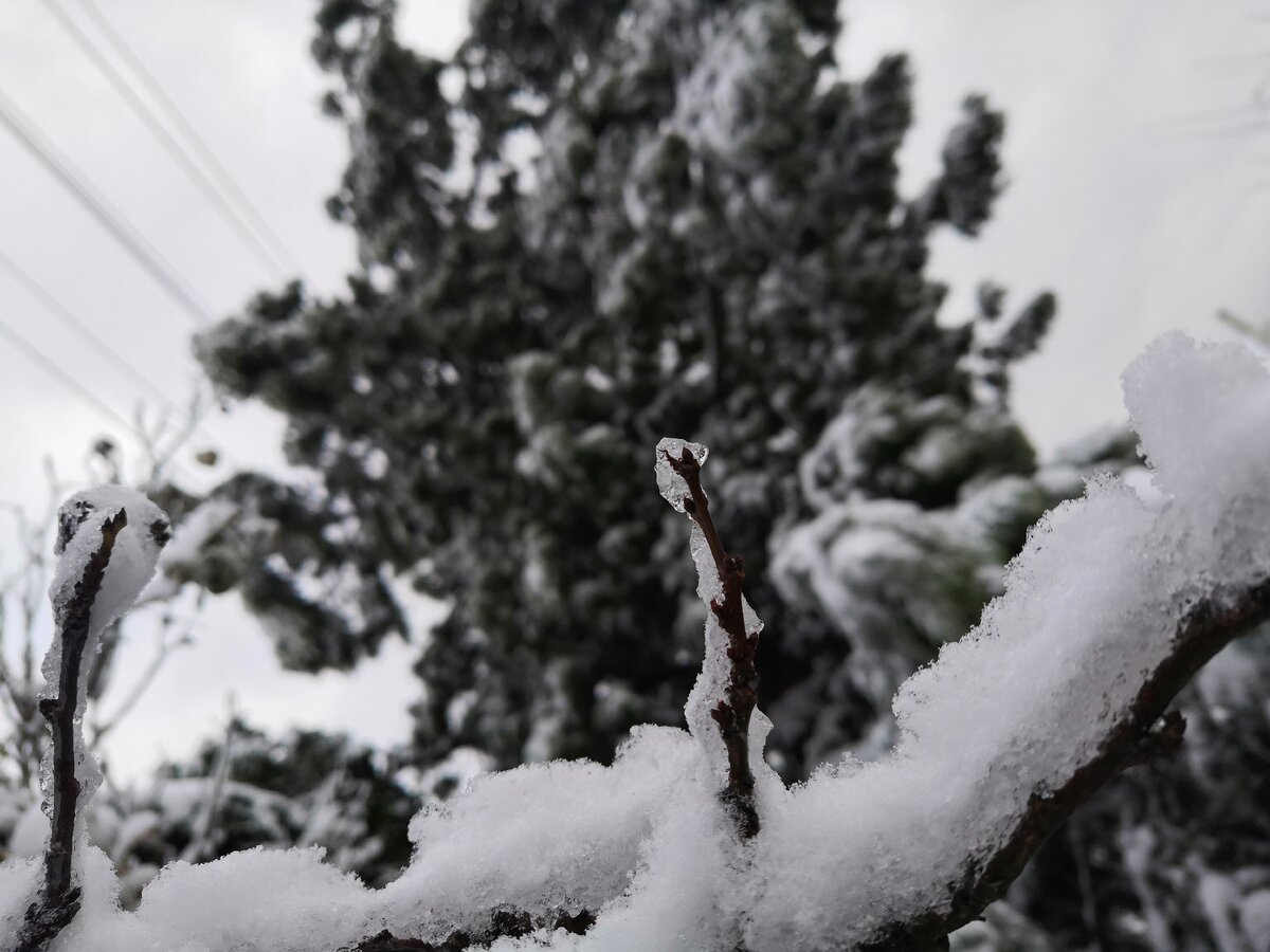 Красивые фразы о зиме и снеге. Красота зимы. Снег и лед. Зимняя сказка любовь. Зимний пейзаж.