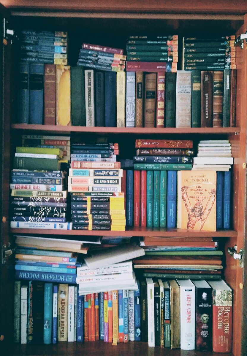 Часть домашней библиотеки