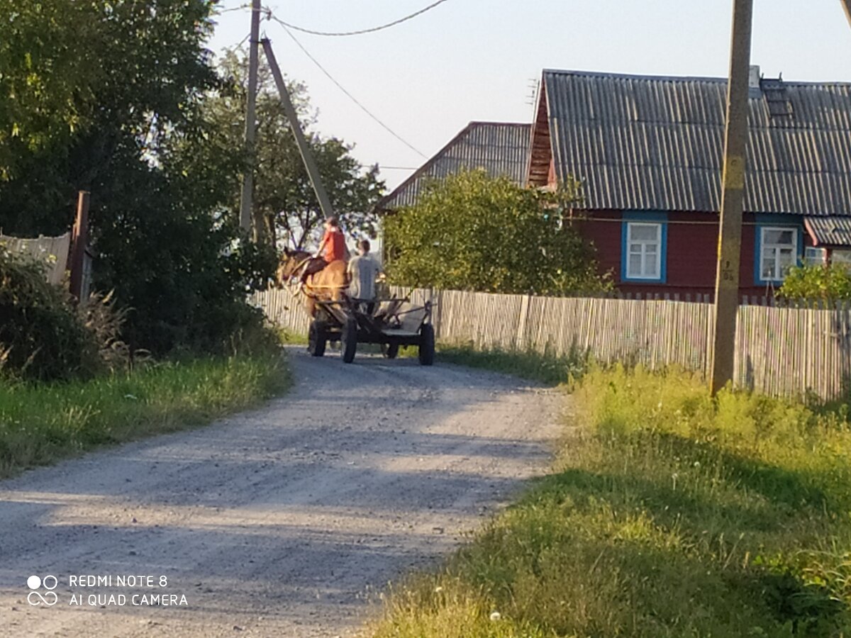 Фото из личного архива. Деревня мужа.