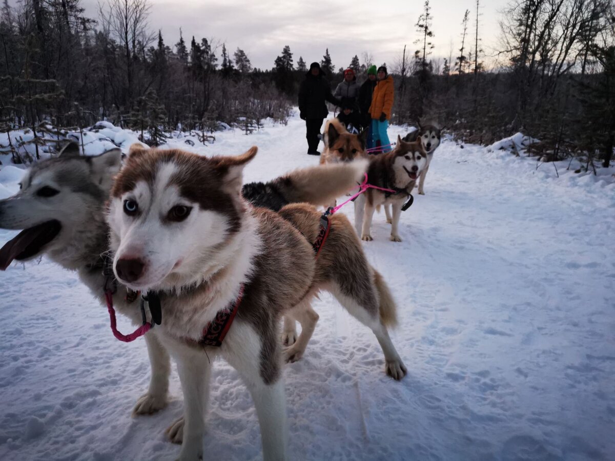 фото автора