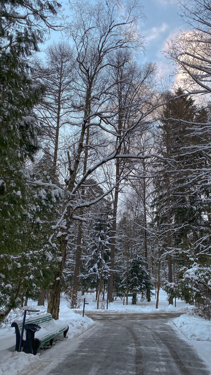 Фото инст @_anastasia_astafieva