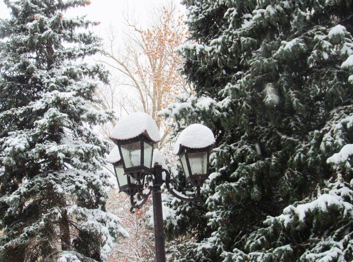 белым снегом замело запуржило занесло. белым снегом запуржило замело. белым снегом запуржило замело. белым снегом замело запуржило занесло. белым снегом замело запуржило занесло.