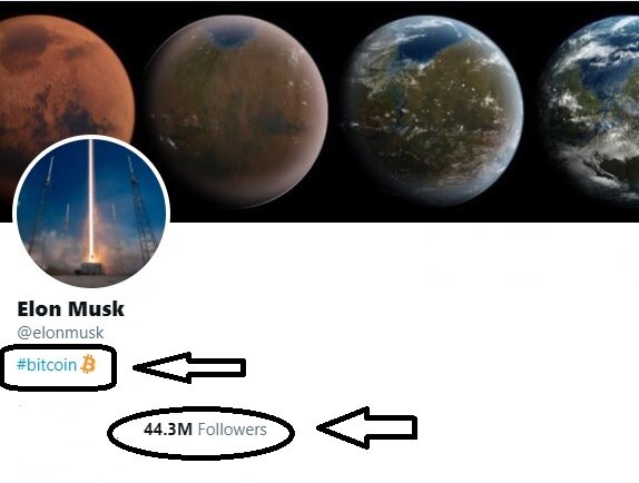 Илон Маск 29 января 2021 г. разместил в профиле своего аккаунта  в Twitter хештег криптовалюты биткоин