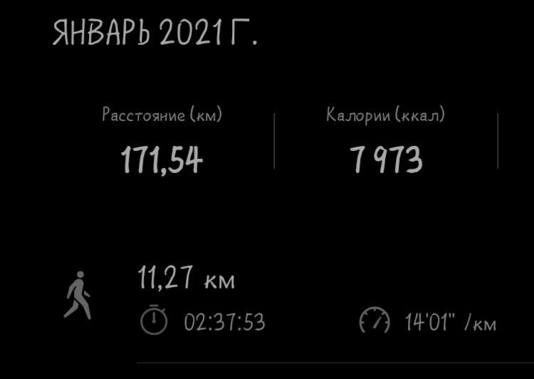 Моя статистика по ходьбе за январь 2021 года