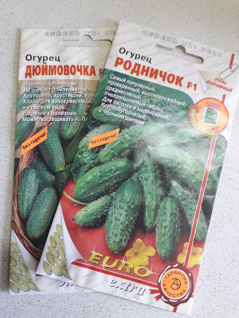Средство, с которым семена прорастают в два раза быстрее, чем при замачивании в воде0