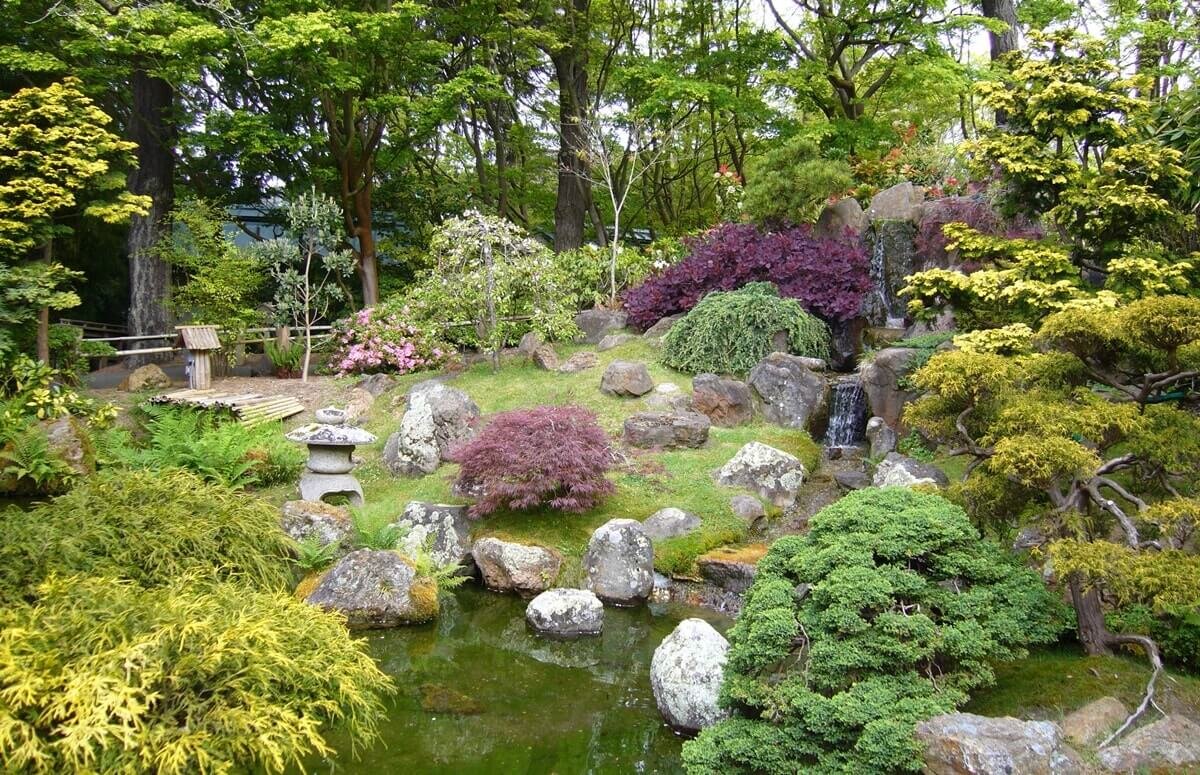 Японский сад в ландшафтном дизайне. Как сделать в своем саду уголок спокойствия