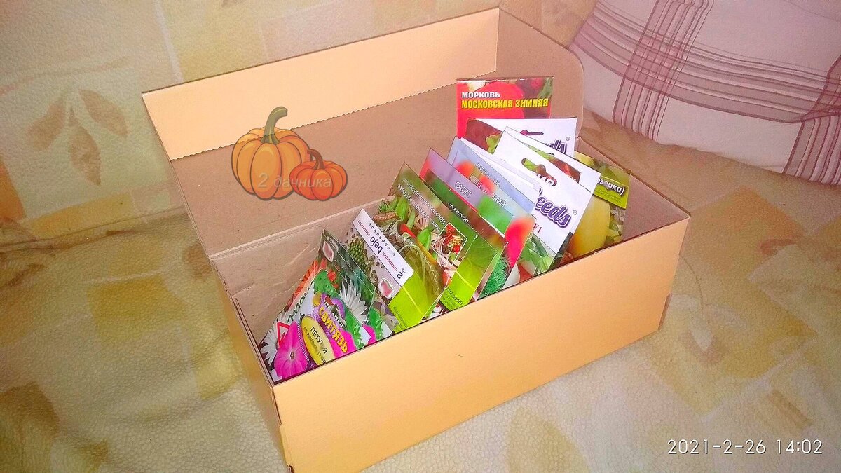 Это моя шкатулка для семян.