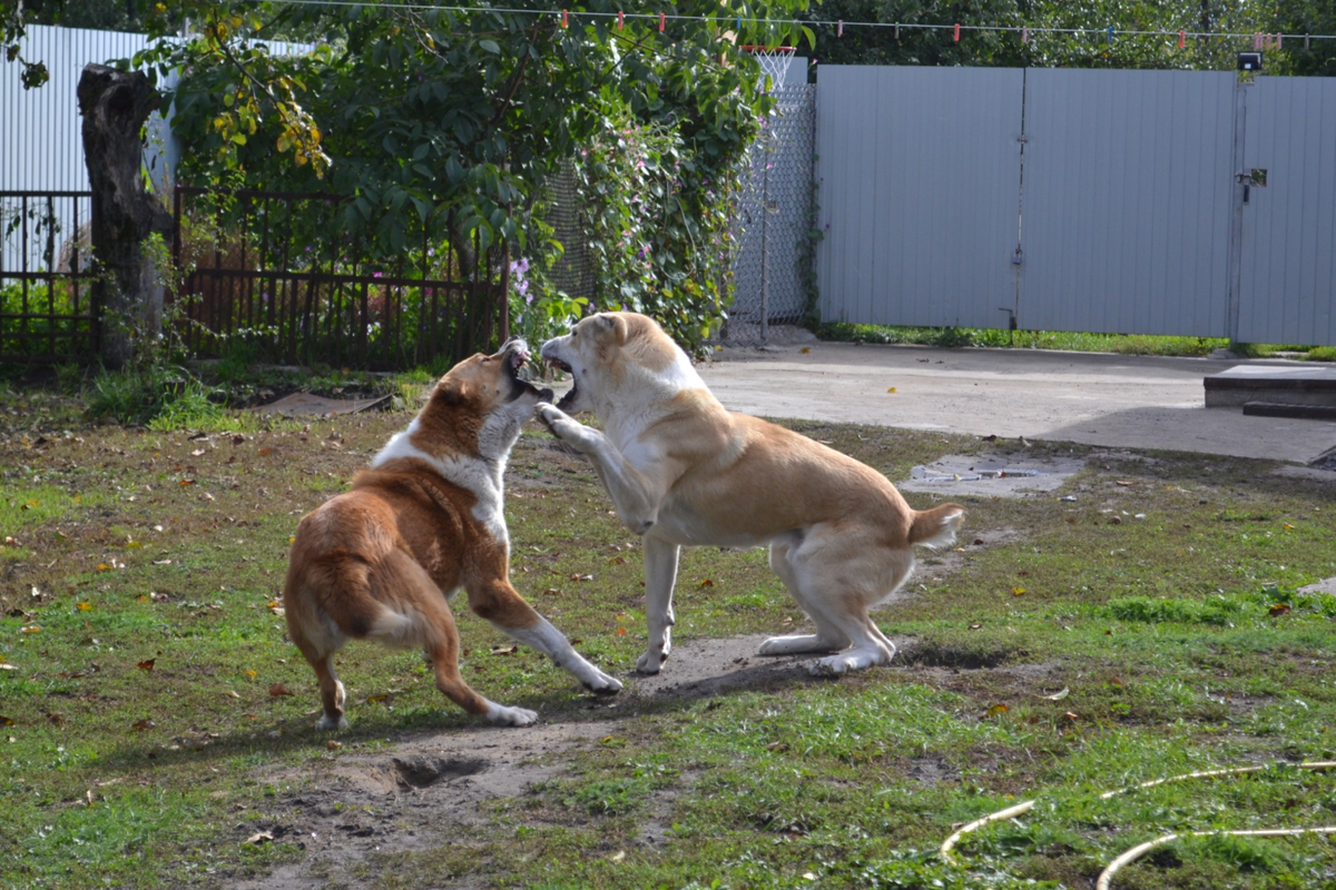 фото из личного архива