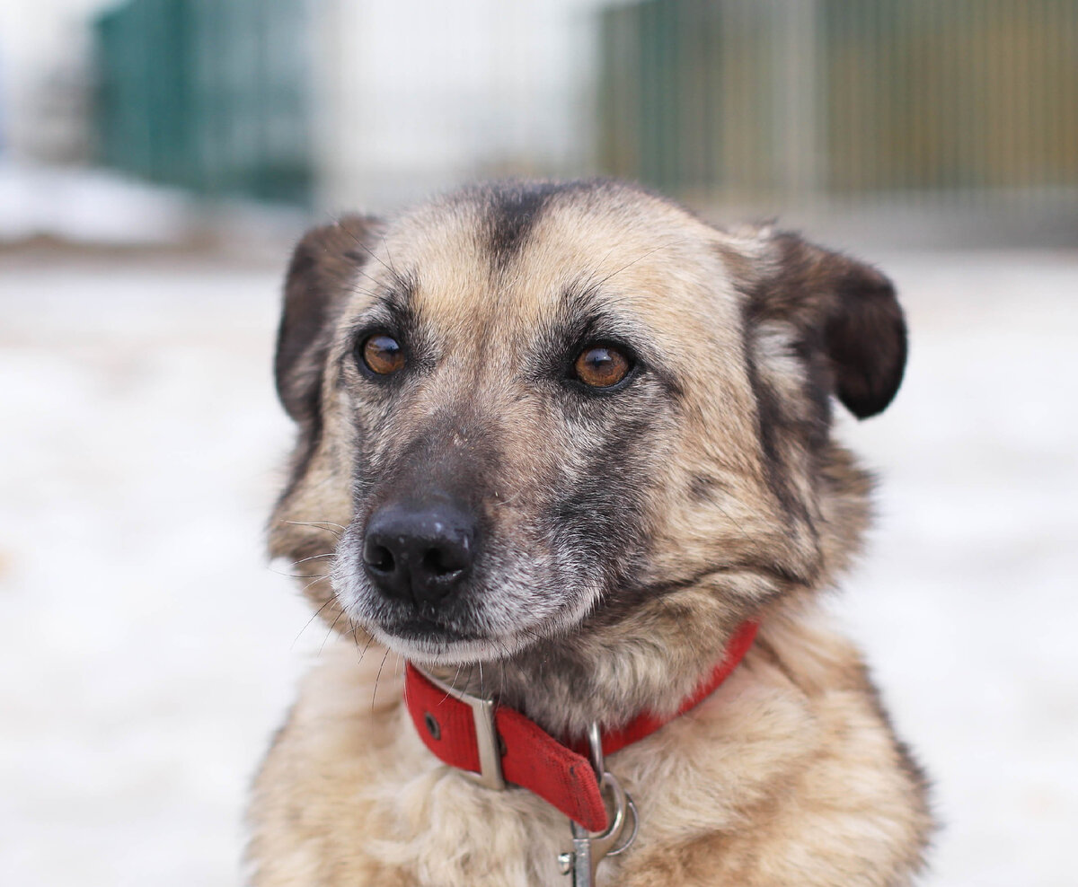 Она как мышонок