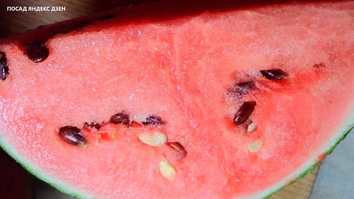 А это другой сорт, Огонёк. Посмотрите, какая у него тонкая кожица. И пусть он маленький, но очень сладкий!