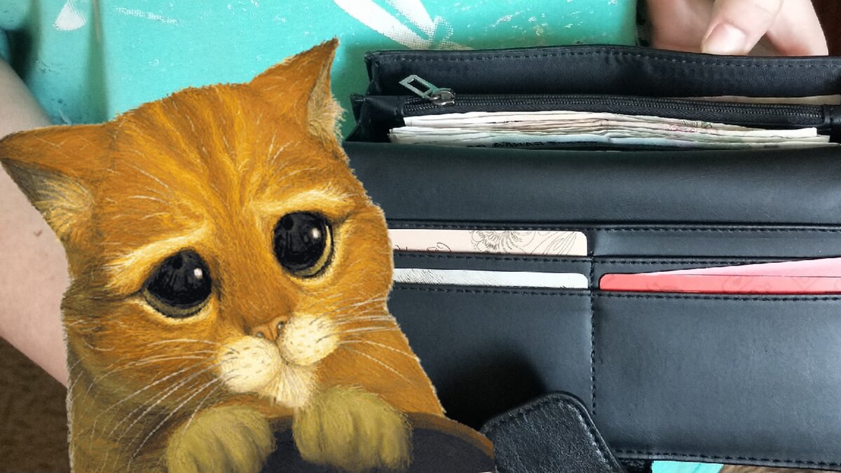 Рыжий мошенник! Такому разве откажешь?  А ведь сочувствия в голосе у них сколько!!