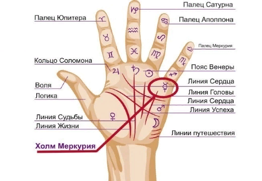 Понимание содержания четвертой строфы