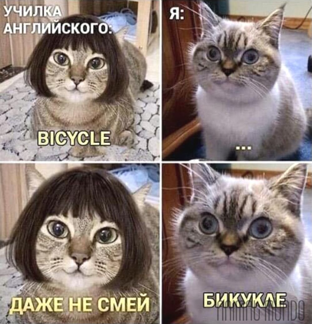 -1-3