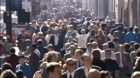 Источник: giphy.com