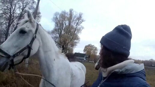 Деревенское утро! Жизнь в деревне