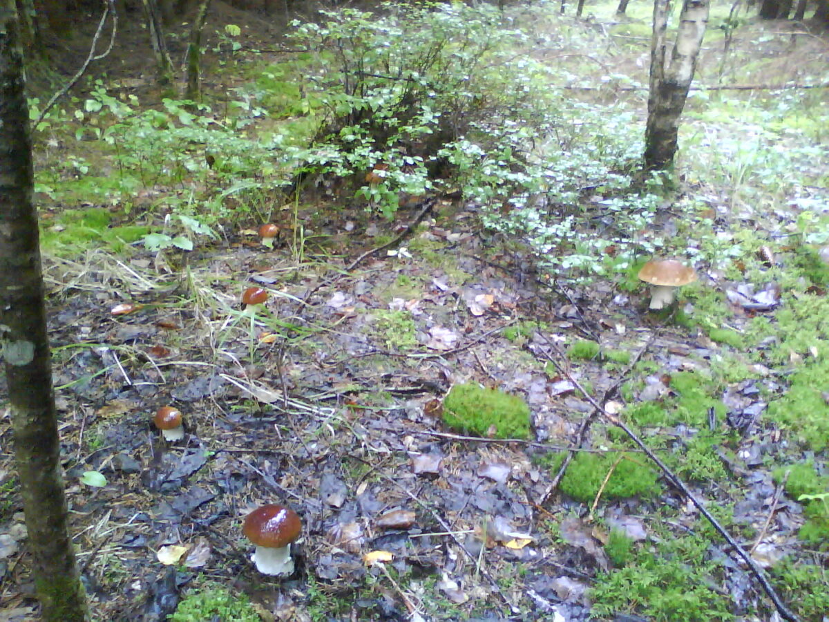 Фото Натальи Седовой