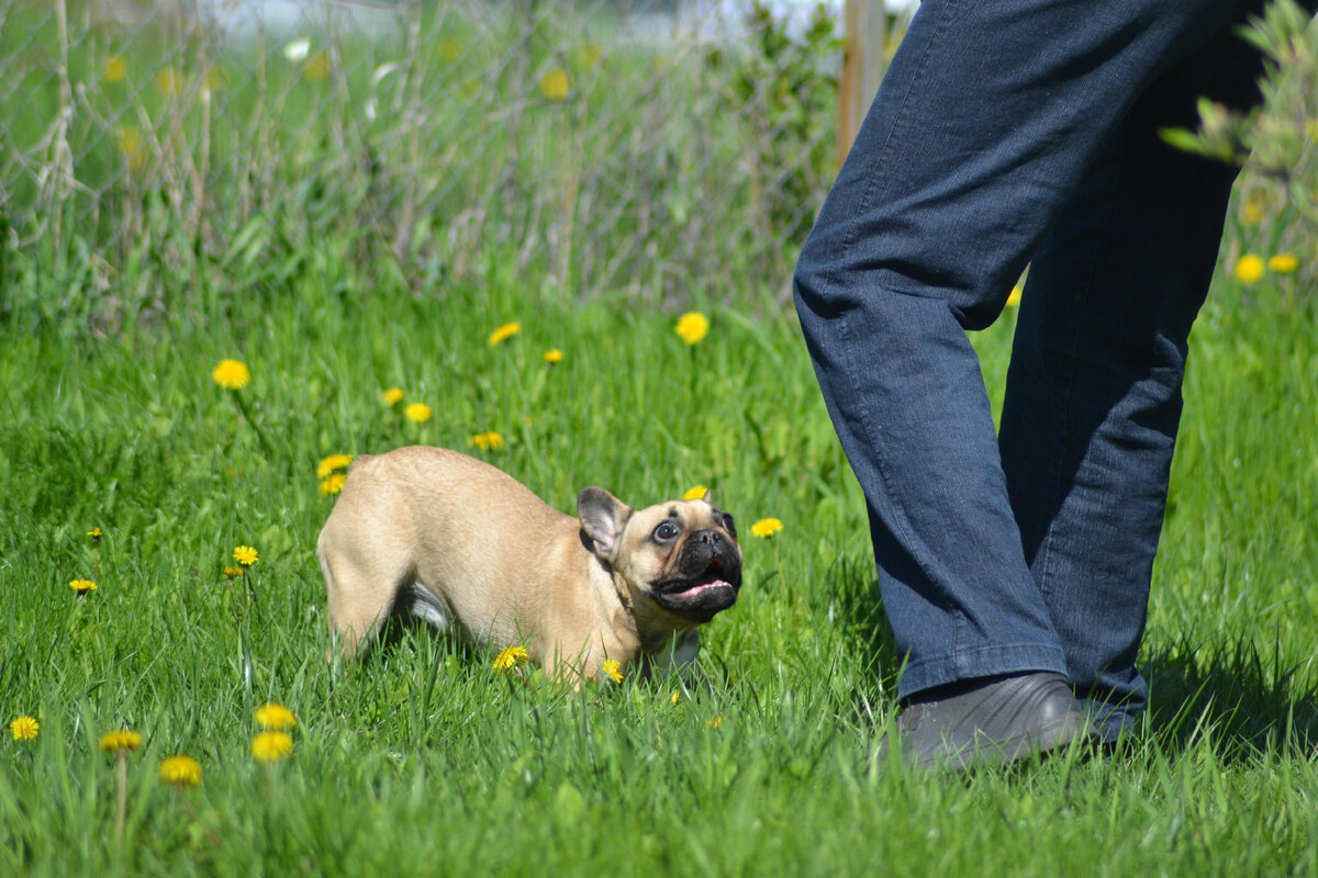 фото из личного архива