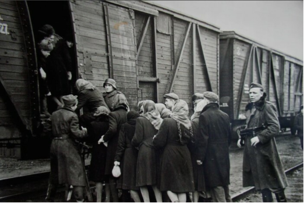 Вот в таких «теплушках» увозили бесплатную рабочую силу в западном направлении. Источник фото: Культурология