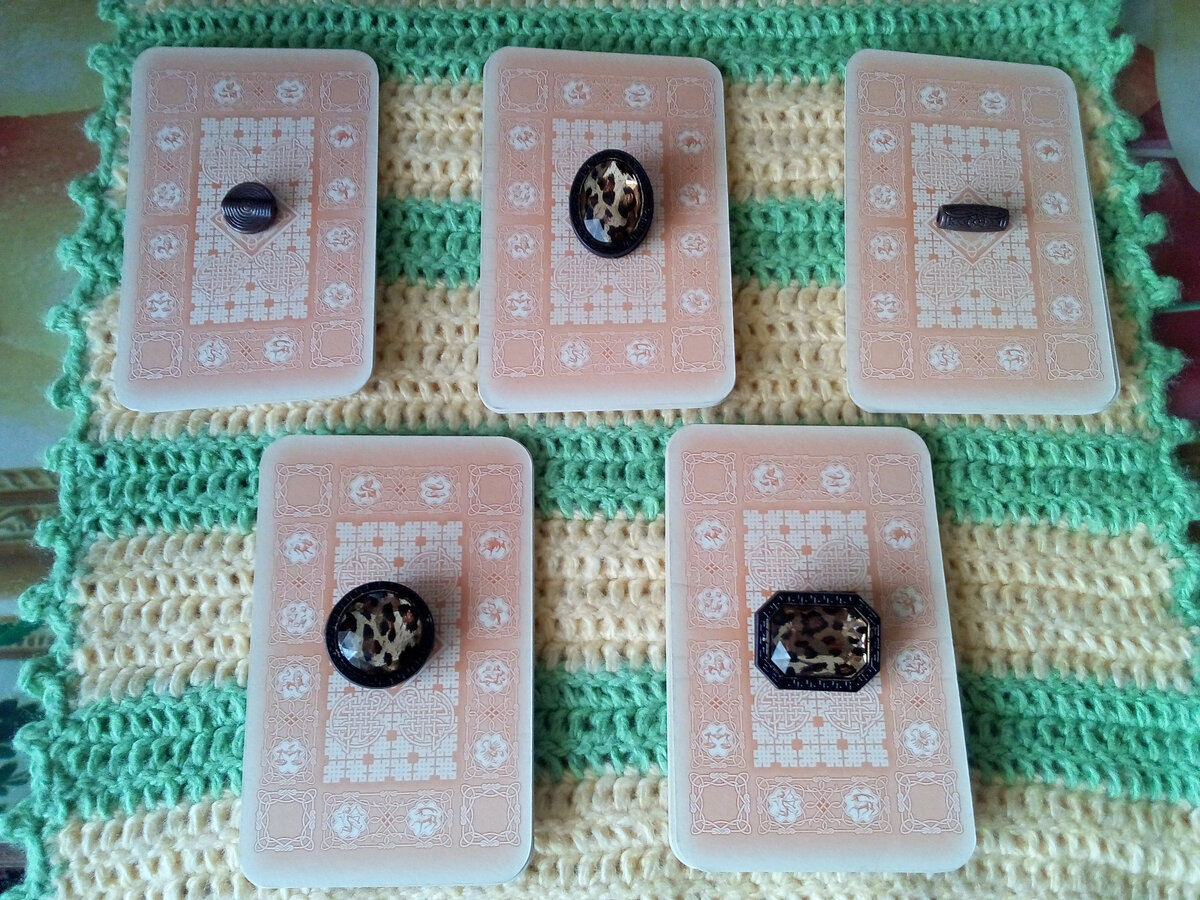 Варианты прогноза. Фото автора