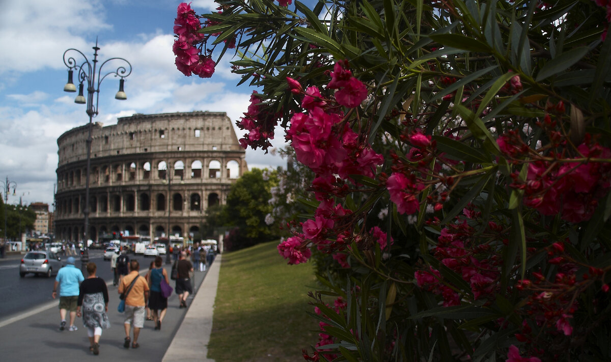 Колизей в Риме