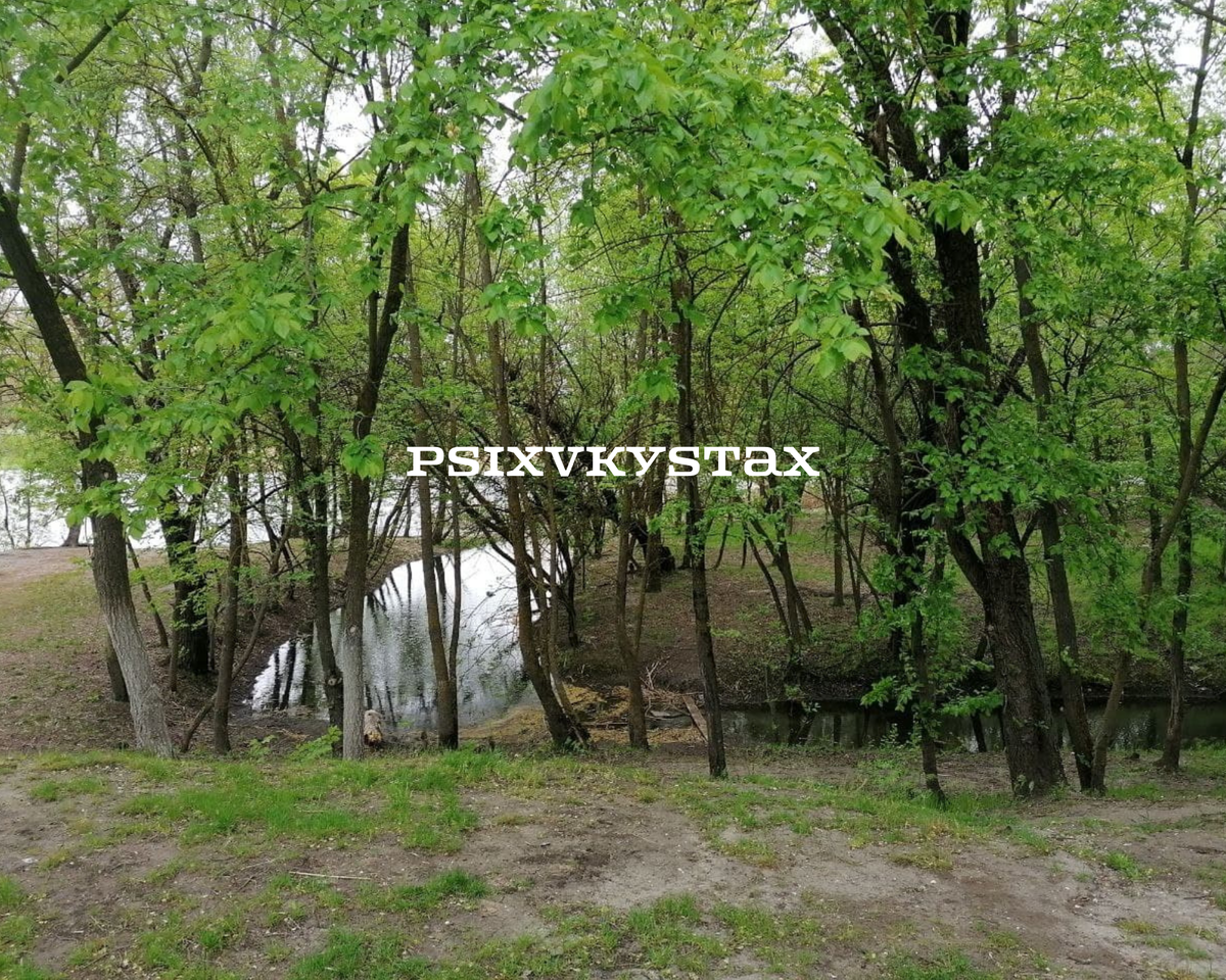 Фото природы из личного архива