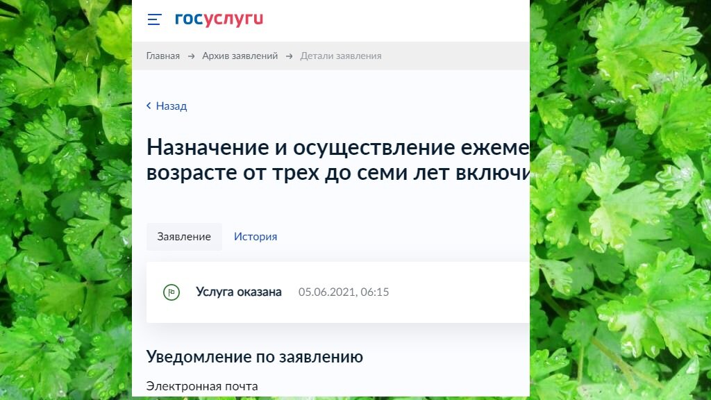 никаких подробностей, кроме положительного результата "услуга оказана"