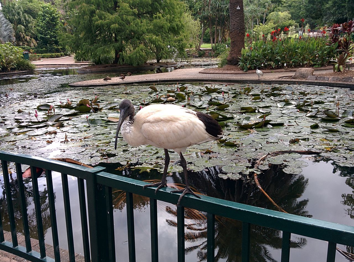 Теперь это мой пруд, ясно тебе?