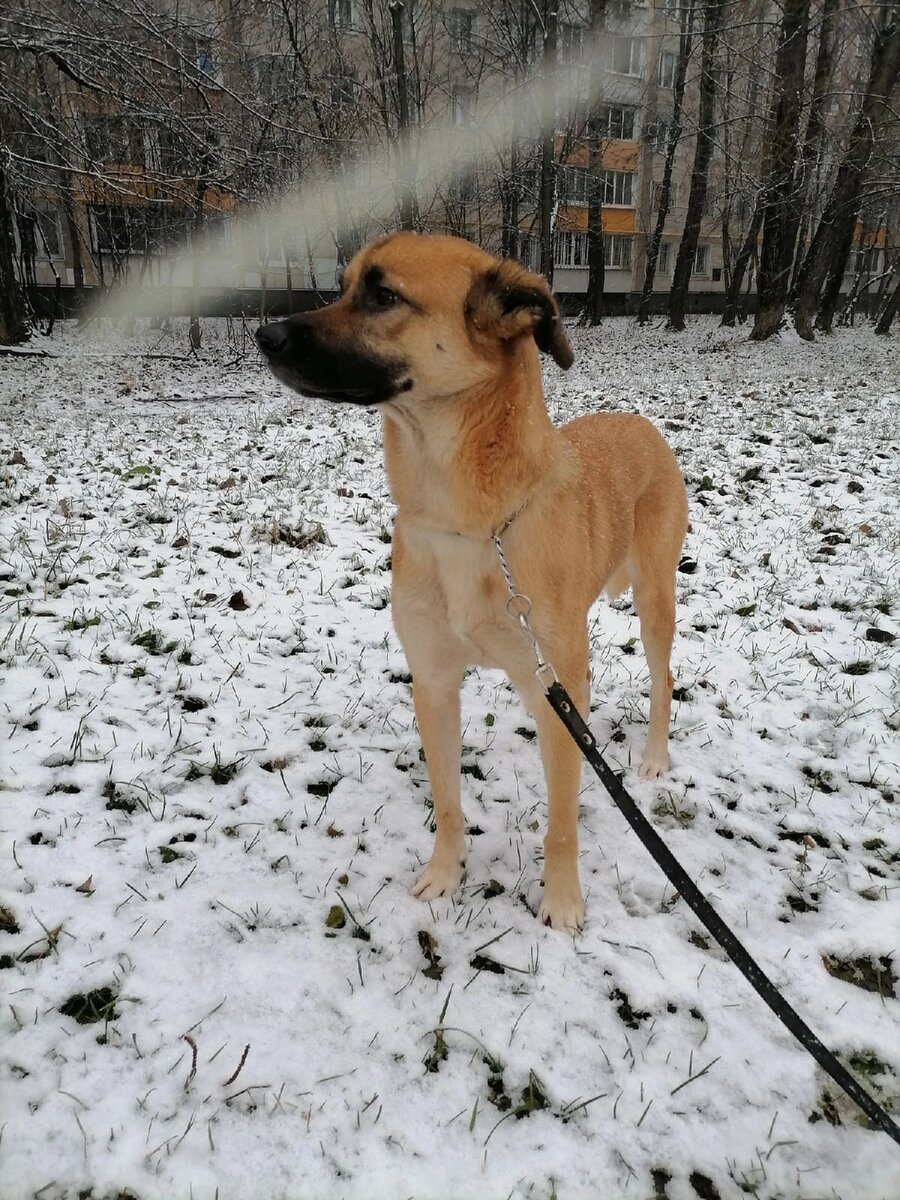 И таким стал дома