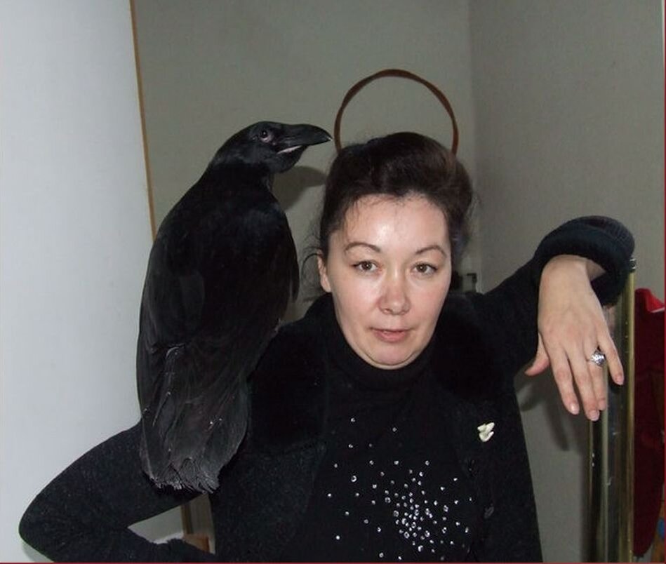 Елена Кустова с вороном. Фото автора