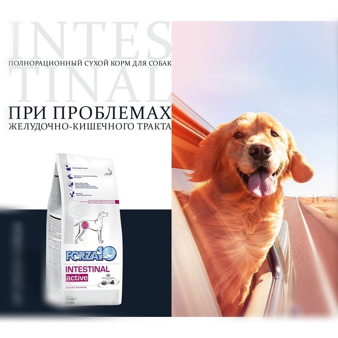 Диета Intestinal Active, разработанная Центром Исследования и Развития компании SANYpet, представляет собой специальную формулу, предназначенную для лечения и профилактики пищевых аллергий и непереносимостей, приводящих к заболеваниям желудочно-кишечного тракта у собак. Нарушения работы ЖКТ, в частности, рвота, вздутие кишечника, диарея и запор, – часто встречающиеся в ветеринарной практике проблемы; многочисленные клинические исследования доказали их тесную связь с пищевыми аллергиями и непереносимостями. 
Добавленные в состав корма натуральные растительные компоненты, такие как душица, каштан, натуральные эфирные полисахариды, пребиотики, электролиты и плоды шиповника, способствуют усилению естественных защитных механизмов. Целебные свойства данных веществ широко известны в фитотерапии и традиционной медицине.

После необходимого периода применения рекоменуется использовать корм «DepurA», предназначенный предназначен для повседневной защиты от свободных радикалов и загрязнения окружающей среды.

Показания
компенсация нарушенного пищеварения;
нормализация усвоения питательных веществ в кишечнике;
компенсация нарушений ферментации при экзокринной недостаточности поджелудочной железы;
профилактика и лечение пищевой аллергии и непереносимости кормов, при которых поражается желудочно-кишечный тракт.

Ингредиенты
Гранулы сухого корма: рис, рыбная мука (21%), масла и жиры растительного происхождения, рыбий жир, минеральные вещества, Юкка Шидигера. Гранулы AFS (7% корма): гидролизат рыбных белков, гидролизат растительных белков, семена подорожника (клейкое вещество 1%) –0.058%, минеральные вещества (холина хлорид и соли, полученные из органических кислот, –0.0261%), дегидратированные дрожжи Био МОС и ФОС - 0.0027%.