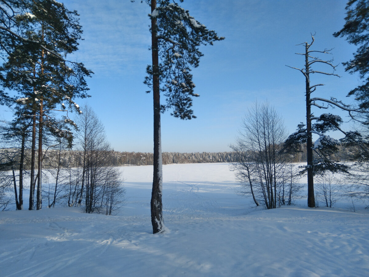 Скоро зиме конец. А жаль, она в этом году сказочная.