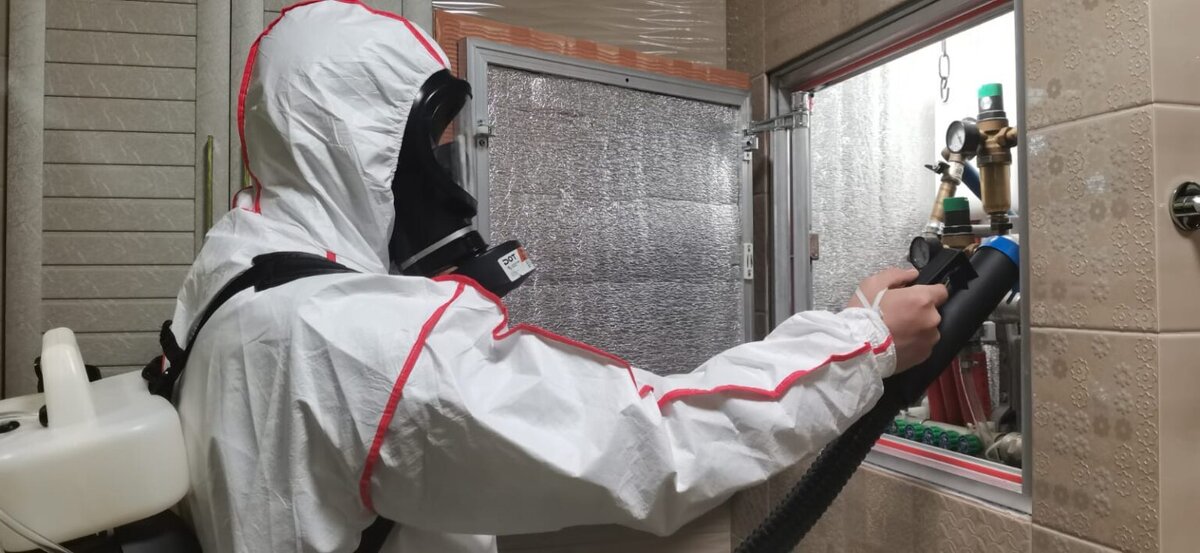 Уничтожение клопов и уборка квартиры