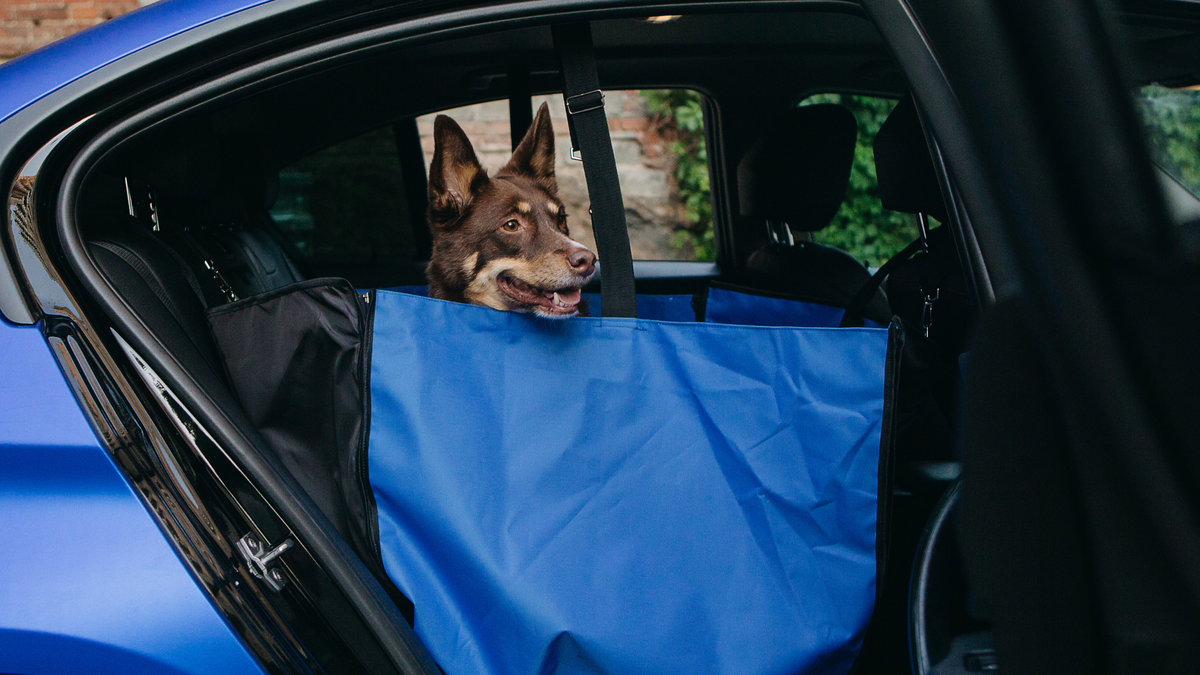 Надежное автомобильное кресло для питомца