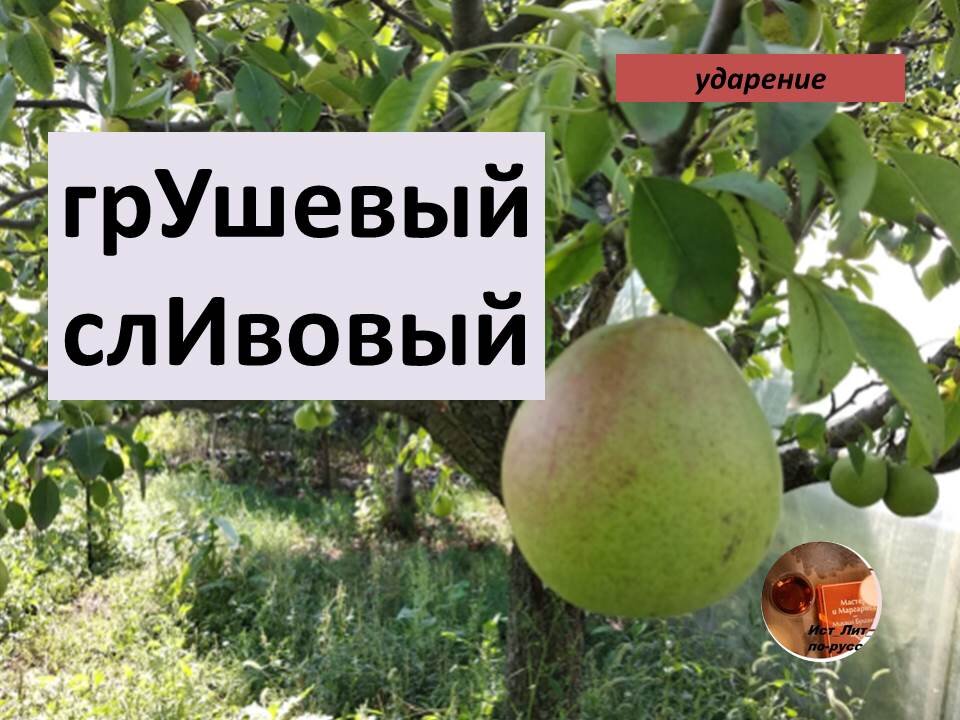 Варенье будет какое? ГрУшевое. Нет ё в слове