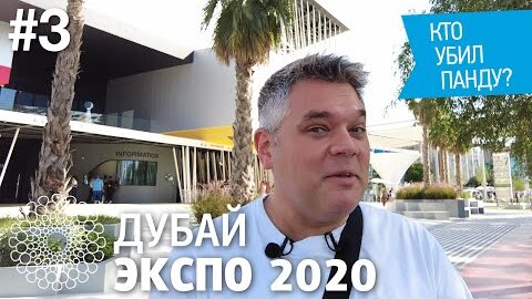 Expo 2020 Дубай: что посмотреть на всемирной выставке Экспо 2020. Район Sustainability