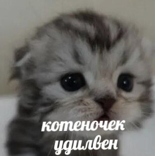 🥺