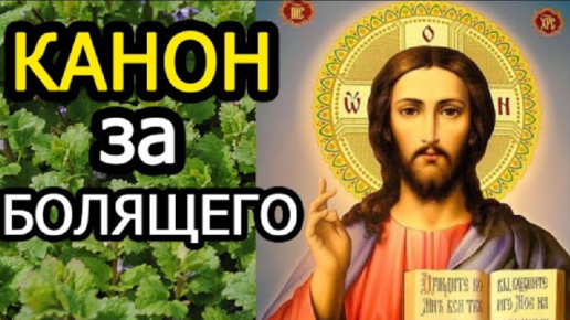 Патриарх: нужно каждый день читать канон к Богородице с особой молитвой о мире - autokoreazap.ru