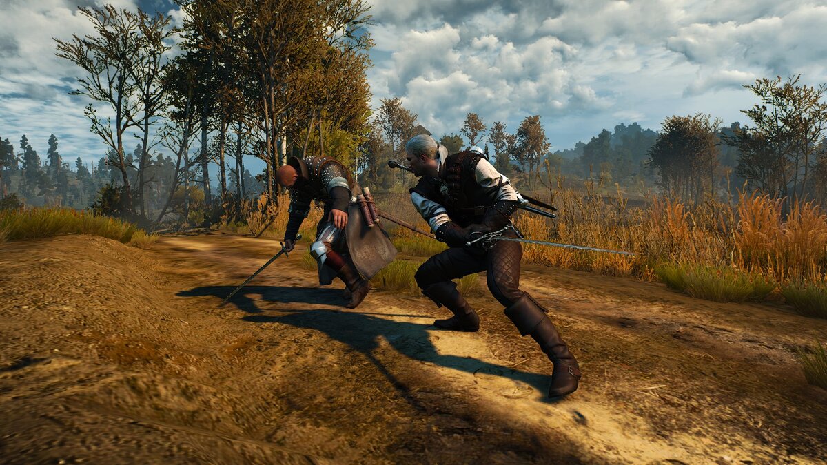 моды на игру the witcher 3 фото 12