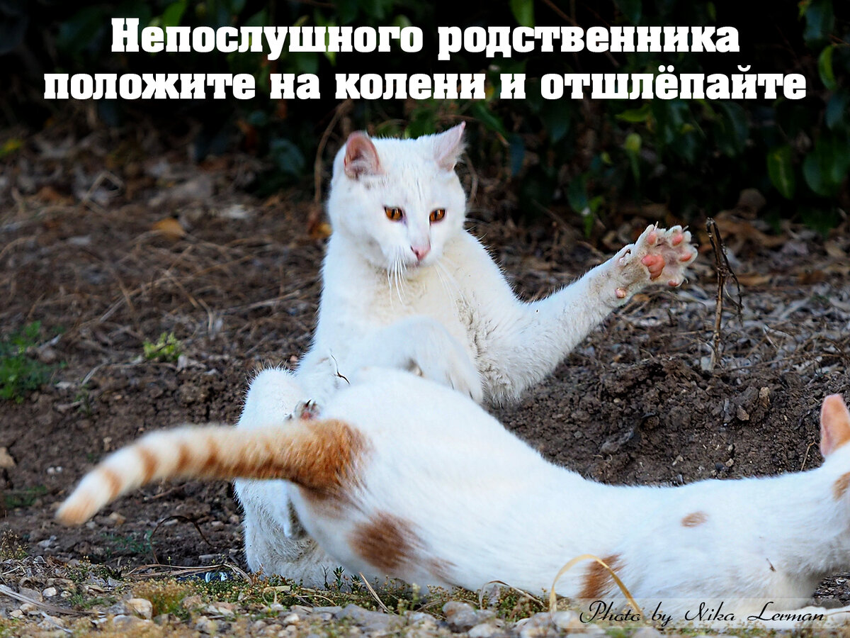 Фото автора