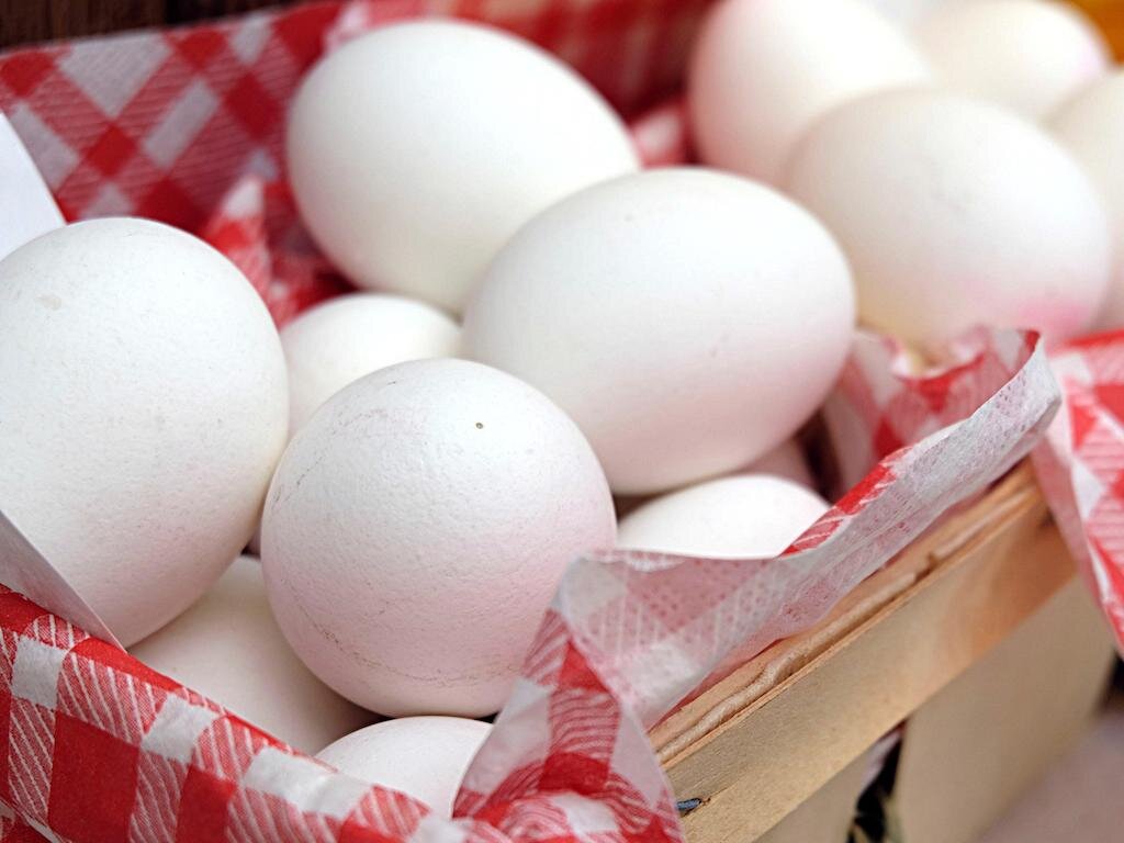 Породы и кроссы кур, которые несут белые яйца