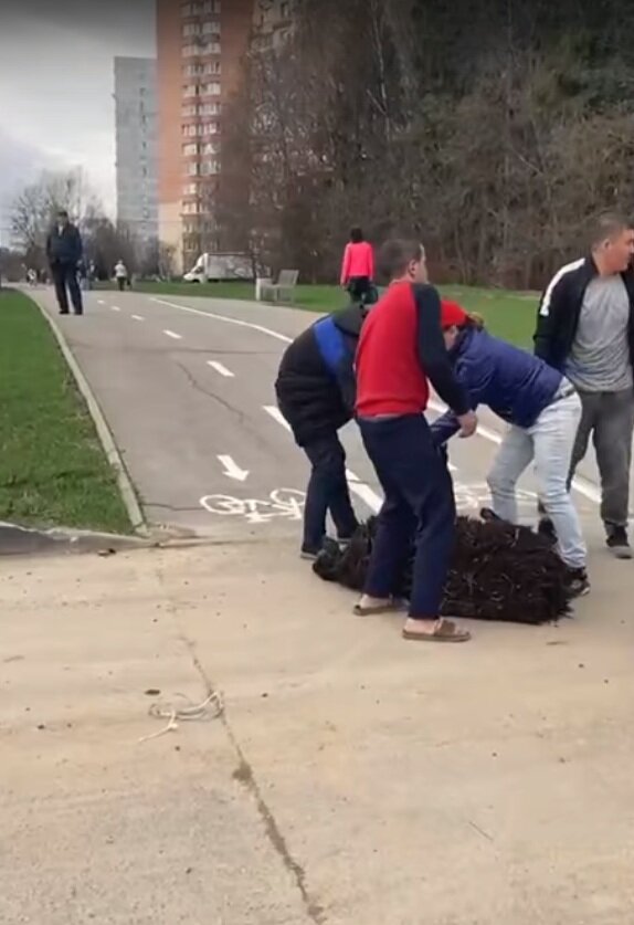 Скриншот из видео в Интернете.