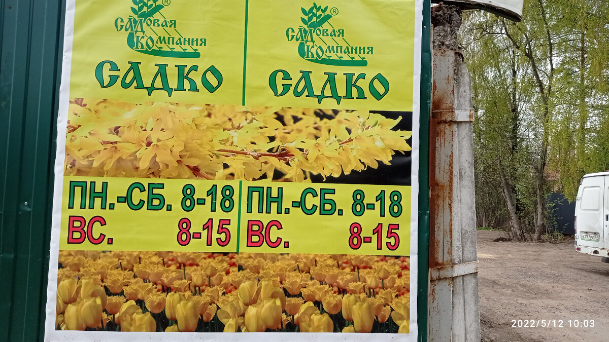 Прайс лист питомника садко. Прайс лист питомника садко