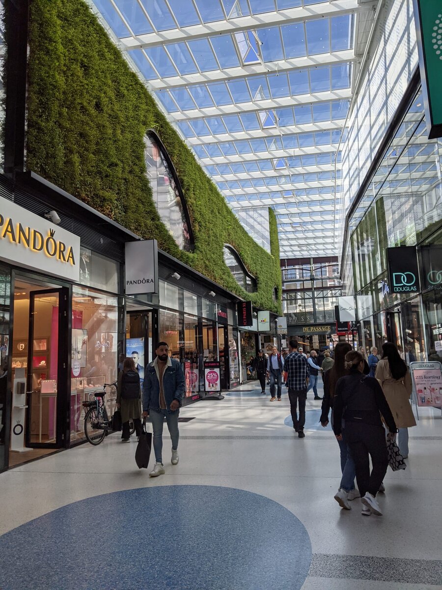 Лучший пример сочетания городской среды и озеленения. Гаага, Нидерланды