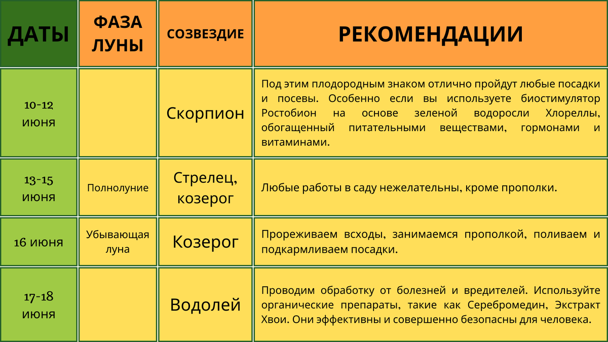 Лунный календарь садовода на июнь 2022 года | БИО-комплекс | Дзен