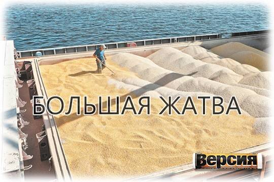    Большая жатва