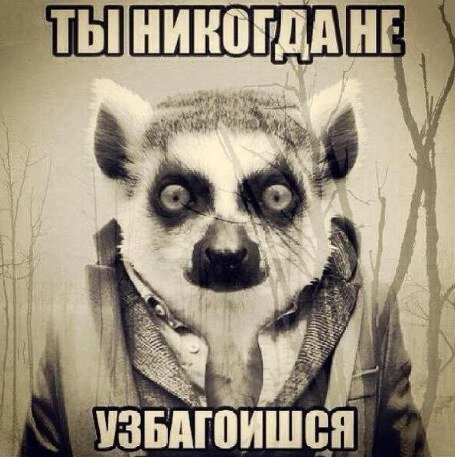 Если ты думаешь, что беспокоиться каждый день – это норма, то у меня для тебя плохие новости... 